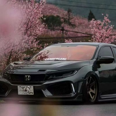 NASDIO 80% Rose Red Chameleon Front Windshield Tint Film Stylish Eco Friendly Versatility